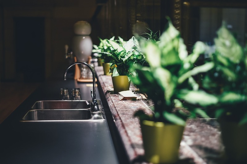 Gröna växter i köket